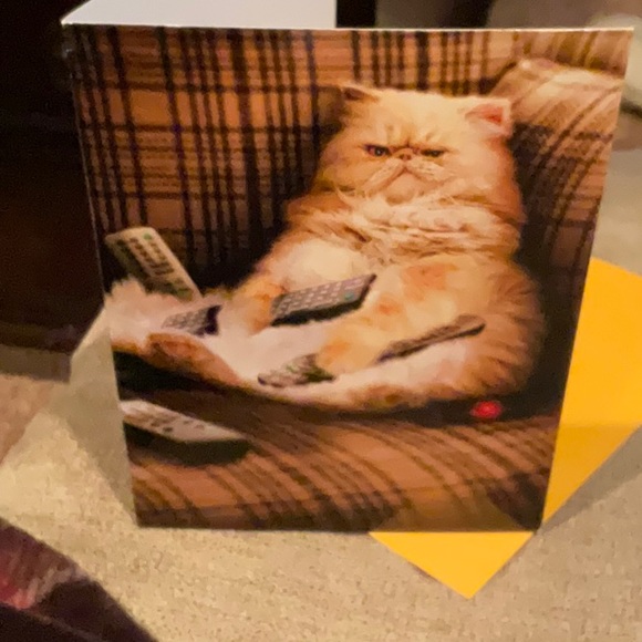 🌸3 for $18🌸 Avanti Funny Humorous Cat Greeting Cards, Set of Two - Picture 5 of 5